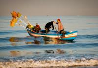 Fishermen�